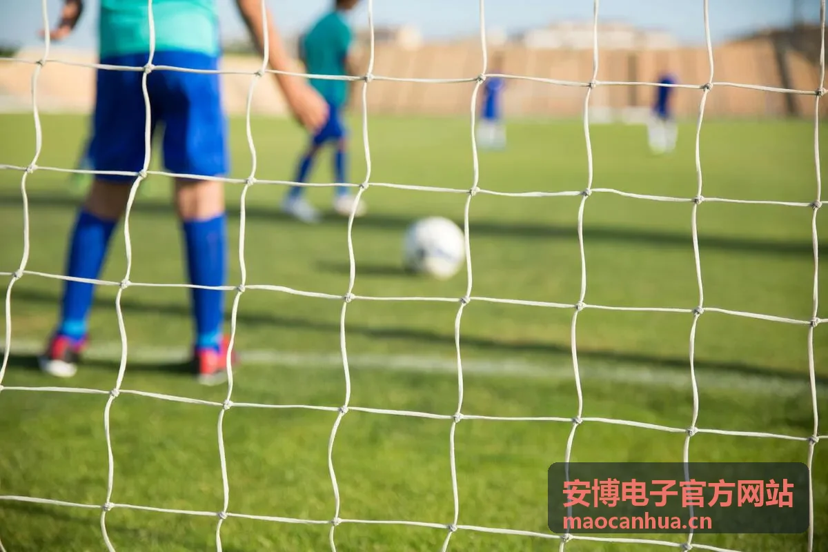 安博电子官方网站客户端在桌面端的器件选型工作界面